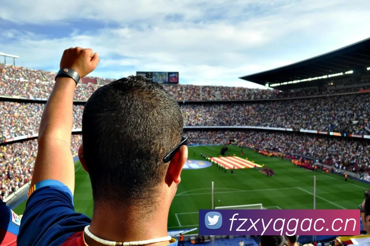 星空体育在线登录入口平台生态图